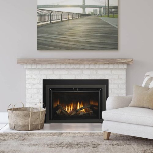 Cosmo Indoor Gas Fireplace Insert