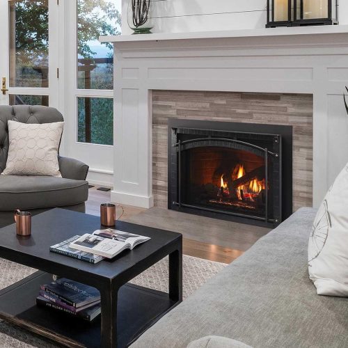 Escape Indoor Gas Fireplace Insert