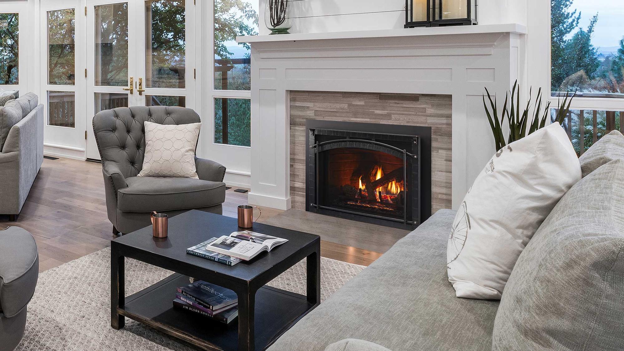 Escape Indoor Gas Fireplace Insert