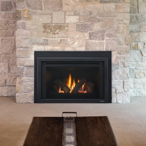 Provident Indoor Gas Fireplace Insert